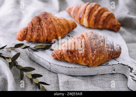 Fermez trois croissants fraîchement cuits avec de la poudre de sucre sur un bureau en bois Banque D'Images