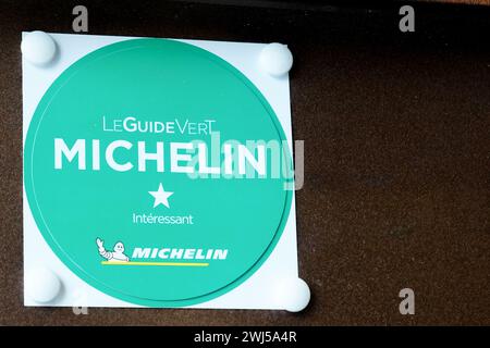 Bordeaux , France - 02 12 2024 : Guide Michelin vert signe logo une étoile et texte vert marque de guides français publiés pour le tourisme de bon endroit Banque D'Images