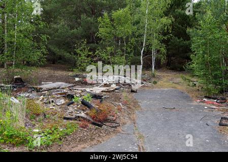 Déversement illégal de déchets volumineux dans la forêt Banque D'Images