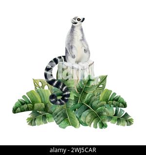 Lémurien à queue annulaire assis sur la souche et feuilles de palmier tropical illustration aquarelle. Animal singe mignon dessiné à la main Banque D'Images