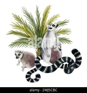 Famille de lémuriens avec mère et oursons près de l'illustration d'été de l'aquarelle de palmier. Singes tropicaux de Madagascar Banque D'Images