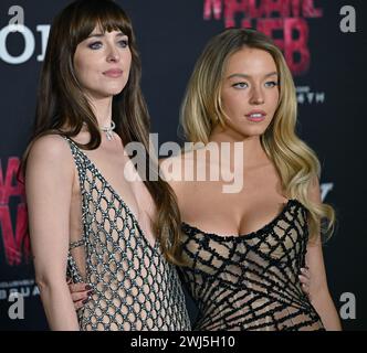 Los Angeles, États-Unis. 12 février 2024. Dakota Johnson (l) et Sydney Sweeney arrivent pour la première mondiale de "Madame Web" au Regency Village Theatre de Los Angeles, Californie, le lundi 12 février 2024. Photo de Chris Chew/UPI crédit : UPI/Alamy Live News Banque D'Images