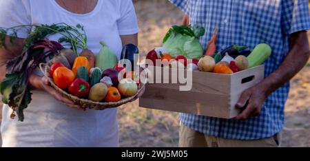 deux agriculteurs debout ensemble avec des caisses pleines de légumes fraîchement cueillis sur les terres agricoles locales Banque D'Images