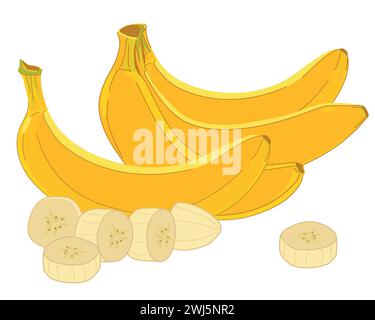 Composition de bananes jaunes vectorielles dans un style plat. Fruits exotiques entiers, bouquet de bananes, pulpe blanche tranchée. Fond blanc. Clipart de style cartoon f Illustration de Vecteur