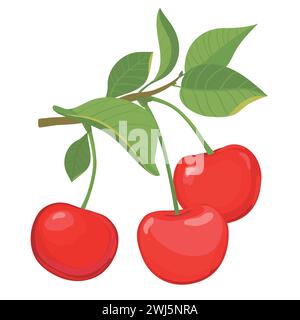 Vecteur branche de cerise dessinée à la main avec des baies et des feuilles. Illustration de style plat pour confiture, jus, emballage. Nourriture saine. Style dessin animé. Illustration de Vecteur