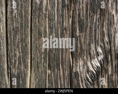 La texture du vieux bois de fer est solide et peut résister à tous les temps Banque D'Images