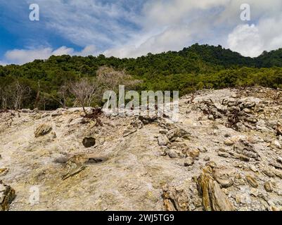 Conséquences d'une éruption volcanique avec terre brûlée et arbres morts. Île de WEH. Indonésie. Banque D'Images