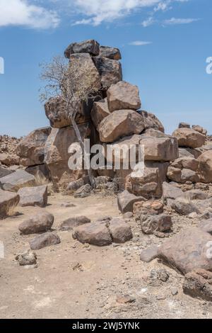 Tas de gros rochers de dolérite dans le désert, tiré dans une lumière brillante de fin de printemps au Giants Playground, Keetmansoop, Namibie Banque D'Images