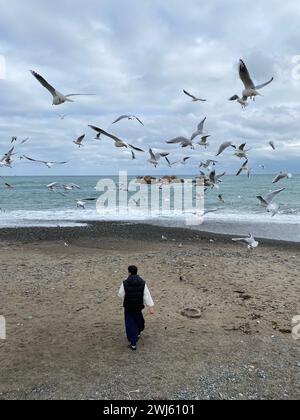 Un homme se promenant sur une plage de sable avec un troupeau de mouettes planant au-dessus de lui Banque D'Images