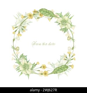 couronne d'aquarelle avec des feuilles vertes de fleurs d'hellebore, primevère jaune, bouquet organique de printemps et d'été mis en évidence sur un fond blanc. Banque D'Images