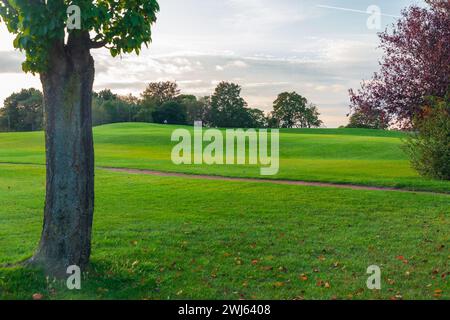 Great Hollands Park à Bracknell, Berkshire. Parc de loisirs avec prairie verte Banque D'Images