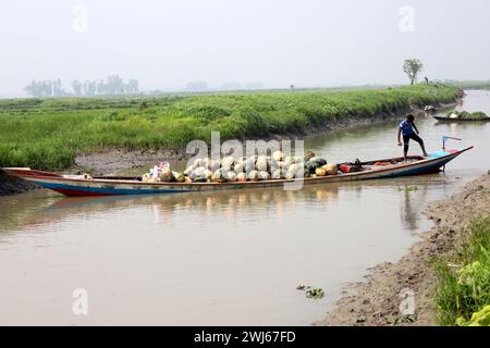 Munshiganj, Munshiganj, Bangladesh. 13 février 2024. Les ouvriers prennent des citrouilles géantes sucrées produites à Arial Beel, Munshiganj du champ au marché pour la vente. Les citrouilles douces d'Arial Beel sont célèbres pour leur taille. Chaque citrouille pèse entre 20 et 200 kg. Nulle part ailleurs au Bangladesh il n'a été possible de produire des citrouilles d'une telle taille. Les agriculteurs vendent des citrouilles à 25 TK (25 $) le kg. Ces citrouilles sucrées sont également exportées à l'étranger. (Crédit image : © Syed Mahabubul Kader/ZUMA Press Wire) USAGE ÉDITORIAL SEULEMENT! Non destiné à UN USAGE commercial ! Banque D'Images