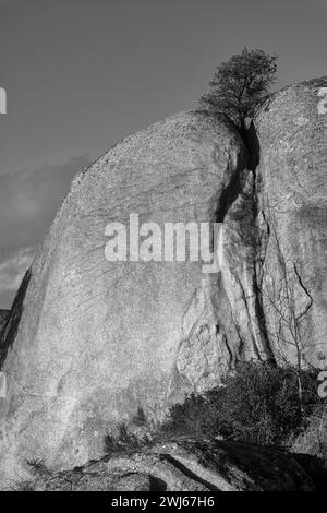 Le paysage dans la zone naturelle de Barruecos. Estrémadure, Espagne en niveaux de gris Banque D'Images