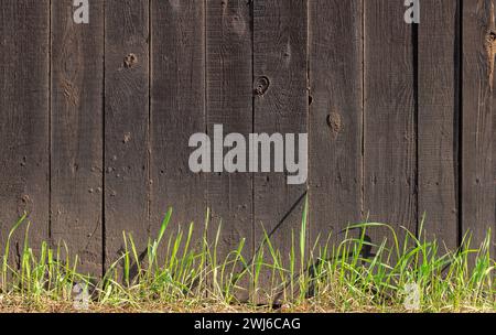 Clôture en bois sombre avec de l'herbe verte poussant à côté. Banque D'Images