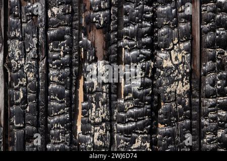 Clôture en bois brûlé. Texture des planches de bois carbonisées. Banque D'Images