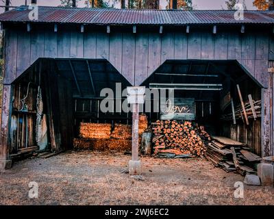 Les piles de bois de chauffage dans une structure rurale. Un hangar d'amour Banque D'Images