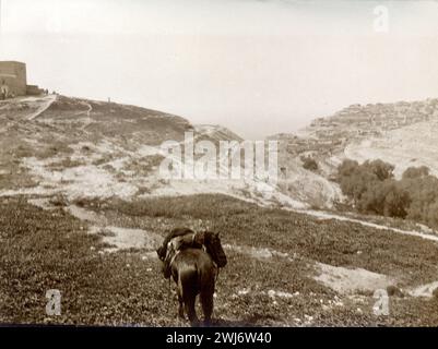 1912 Libye, Afrique, paysage - désert Banque D'Images