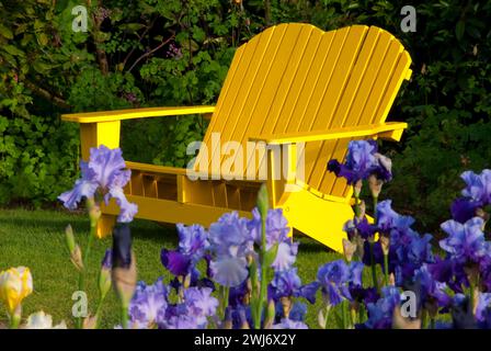 Banc de jardin d'affichage, Schreiners Iris Gardens, Keizer, Oregon Banque D'Images