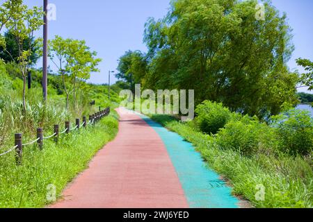 Gangneung City, Corée du Sud - 29 juillet 2019 : une piste cyclable serpente doucement le long du Namdae Stream vers le port de Gangneung, flanqué d'arbres verdoyants, Banque D'Images