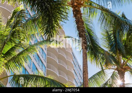 Belle scène tropicale regardant le bâtiment blanc moderne encadré par des palmiers tropicaux. Banque D'Images