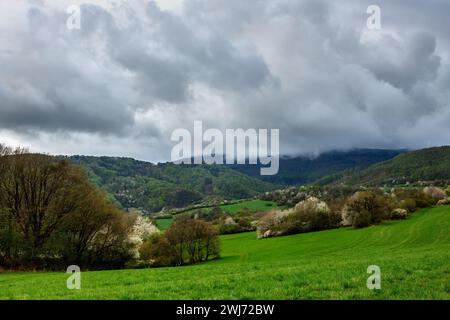 Paysage de montagne printanier après la pluie. Avec le ciel cludy et les nuages gris.eau s'évaporant de la forêt. Herbe fraîche. Fleurs d'arbres Vrsatec, Slovaquie Banque D'Images