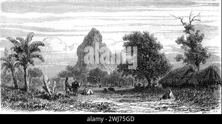 Vue sur la montagne Rempart, montagne du Rempart, près de Tamarin, secteur rivière Noiure, Maurice. Gravure vintage ou historique ou illustration 1863 Banque D'Images