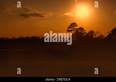 Coucher de soleil sur le paysage tropical de Saint Marks National Wildlife refuge, brume sur les marais. Banque D'Images