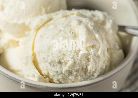 Crème glacée sucrée maison aux haricots de vanille dans un bol Banque D'Images