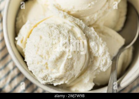Crème glacée sucrée maison aux haricots de vanille dans un bol Banque D'Images