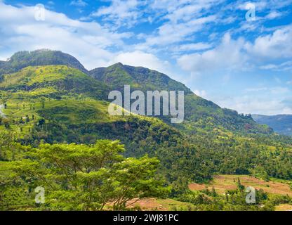 Paysage vallonné du Sri Lanka parsemé de villages et de plantations de thé. Banque D'Images