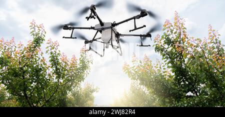 Un pulvérisateur drone survole des pommiers. Agriculture intelligente et agriculture de précision.. Banque D'Images