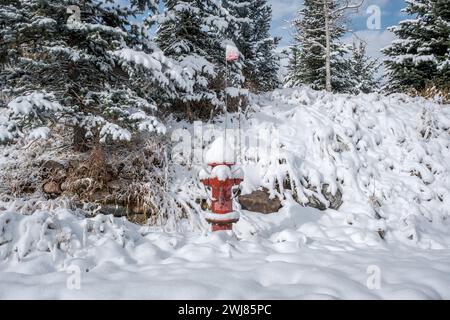 Bouche d'eau rouge couverte de neige pendant l'hiver sur une colline enneigée. Banque D'Images