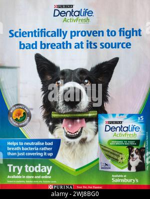 Publicité magazine pour Purina Dentalife ActivFresh chien mâche, pour guérir la mauvaise haleine. Sainsbury's Magazine. Juillet 2023. Banque D'Images