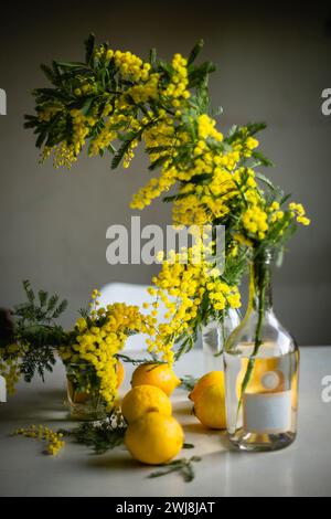 mimosa fleurissant dans des vases sur la table blanche avec des citrons encore ife Banque D'Images