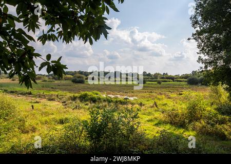 Naturschutzgebiet Dingdener Heide, Heide und an-Moorligen Landschaften, gehört des Ortes Dingden, nördlich zu Hamminkeln, Kulturlandschaft, NRW, Naturpark Hohe Mark Westmünsterland, Naturschutzgebiet Dingdener Heide *** réserve naturelle de Dingdener Heide, landes et paysages de landes, au nord du village de Dingden, partie de Hamminkeln, paysage culturel, NRW, parc naturel Hohe Mark, parc naturel, Hohe Westmünsterland, réserve naturelle de Dingdener Heide Banque D'Images