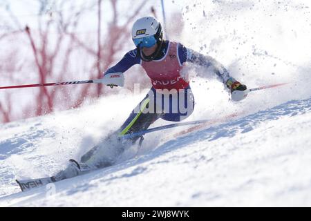 Sapporo, Japon. 13 février 2024. Ebba Aarsjoe (SWE) ski alpin : Slalom féminin debout à Sapporo Teine lors de la Coupe du monde de ski para alpin FIS 2024 à Sapporo, Japon . Crédit : SportsPressJP/AFLO/Alamy Live News Banque D'Images