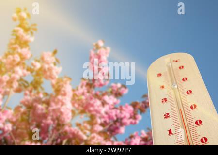 Thermomètre et arbuste spiraea florissant à l'extérieur, vue à angle bas. Température au printemps Banque D'Images