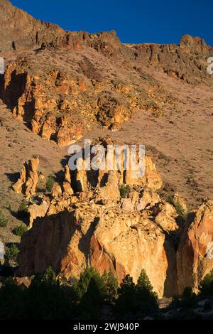 Affleurements dans Juniper Gulch, Honeycomb Wilderness Study Area, Leslie Gulch Area of Critical Environmental Concern, Vale District Bureau of Land Managem Banque D'Images