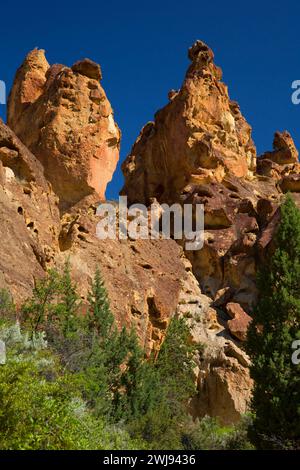 Affleurements dans Juniper Gulch, Honeycomb Wilderness Study Area, Leslie Gulch Area of Critical Environmental Concern, Vale District Bureau of Land Managem Banque D'Images