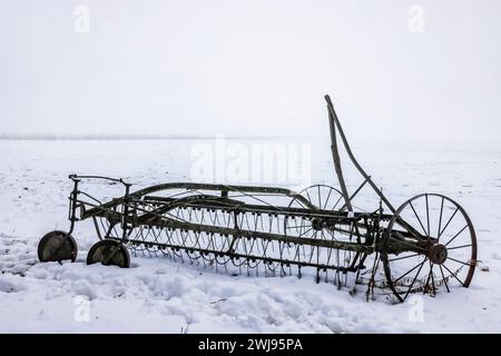 Vieux râteau à foin dans le comté de Mecosta, encore utilisé comme outil tiré par des chevaux par un agriculteur amish, Michigan, États-Unis Banque D'Images