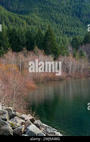 Vue d'hiver depuis un pont des beaux arbres feuillus colorés au bord d'une rivière avec des conifères vert foncé en arrière-plan. Banque D'Images