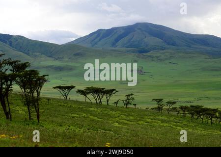 Une vue plongeante sur le cratère du Ngorongoro en Tanzanie. Banque D'Images