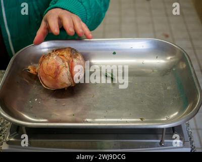 le vendeur de femme senior pèse gros oignon rose organique dans une balance à l'image haute résolution de magasin de détail Banque D'Images