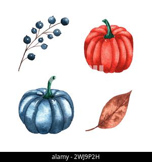 Ensemble de citrouilles aquarelles, baies et feuilles, isolé sur blanc. Il est parfait pour les cartes de Thanksgiving ou les affiches, halloween Banque D'Images