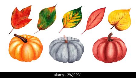 Ensemble de citrouilles aquarelles et de feuilles. Illustration dessinée à la main isolée sur fond blanc. Banque D'Images