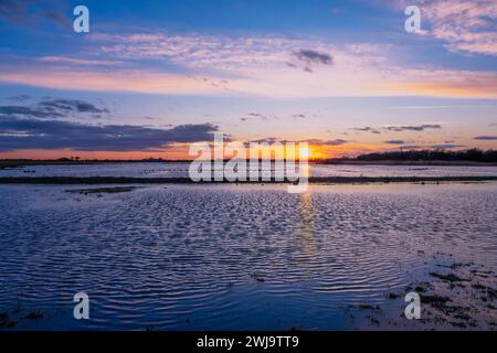 RSPB Frampton Marsh au coucher du soleil regardant sur les champs inondés. Frampton, Boston, Lincolnshire. Banque D'Images