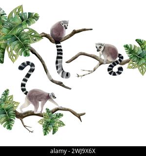 Famille de lémuriens assis sur des branches avec des feuilles tropicales illustration aquarelle de scène. Singes animaux de la jungle réalistes Banque D'Images