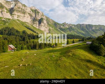 Vue idyllique sur la région d'Appenzell avec des vaches qui paissent sur des champs verdoyants avec en toile de fond des montagnes majestueuses et un ciel dégagé. Banque D'Images