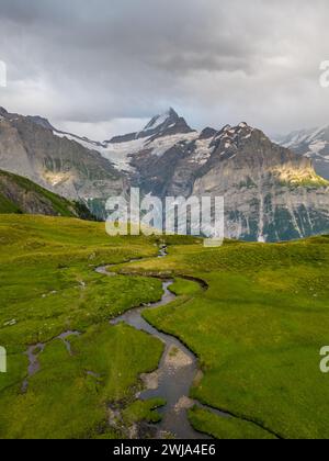 Une vue captivante d'une scène alpine avec un ruisseau sinueux traversant des prairies verdoyantes sous un ciel sombre. Banque D'Images