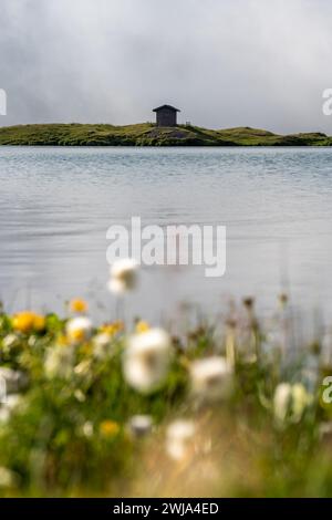 Une scène idyllique mettant en scène une cabane en bois solitaire perchée sur une pelouse au bord d'un lac alpin, flanquée de fleurs sauvages au premier plan. Banque D'Images